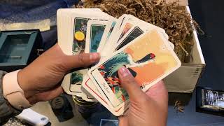 SACRED SPACE CRATE UNBOXING - FAVORITE THINGS NOVEMBER 2021 ~  ADORABLE "WITCHY" BOX, AMAZING TAROT!