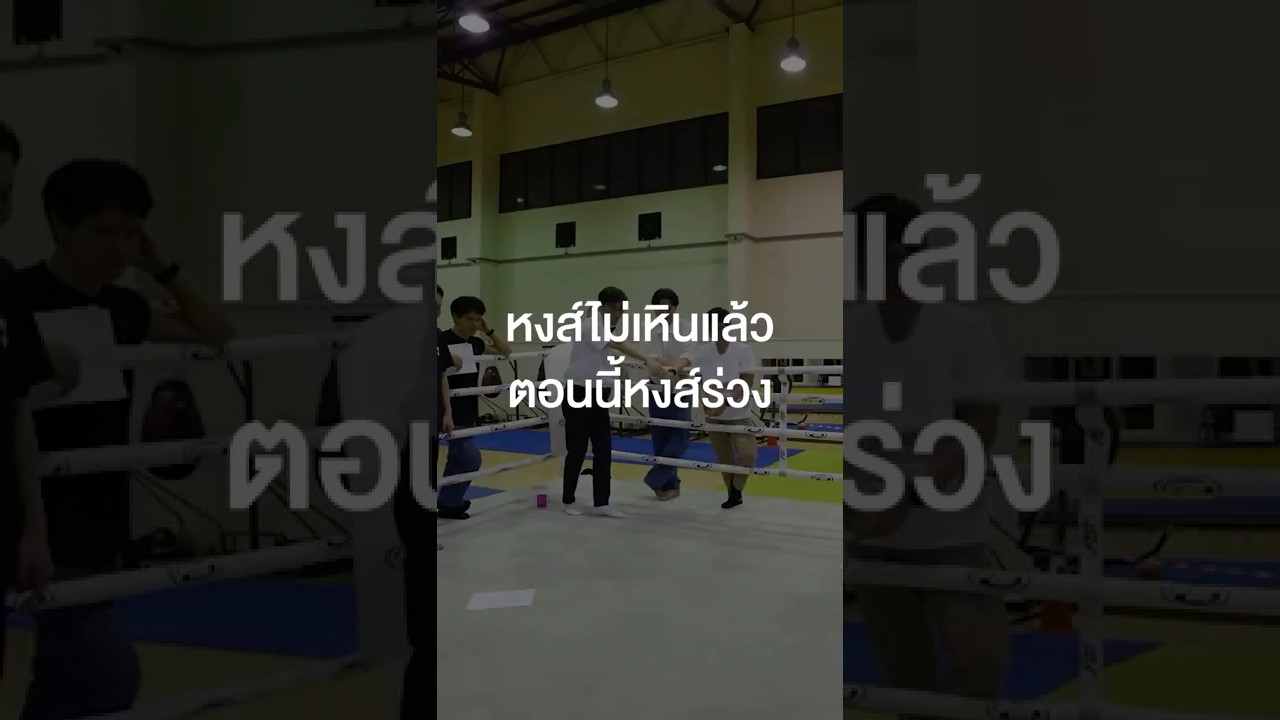 คนละหงส์เดียวกันหรือเปล่าพี่เหว่ง😅 #เสือร้องไห้ #TigerShorts #Shorts #SEAGAMES2025 #ซีเกมส์