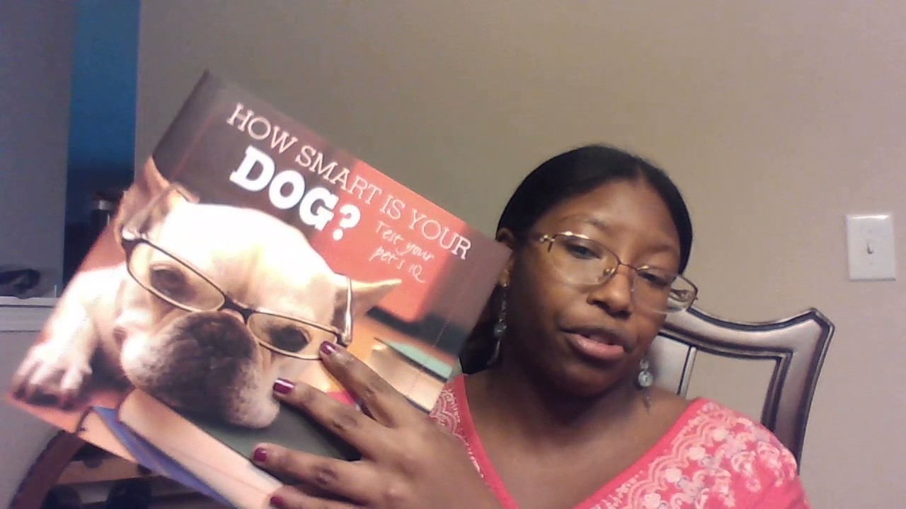 Pet Treater Subscription Box Review- February 2017