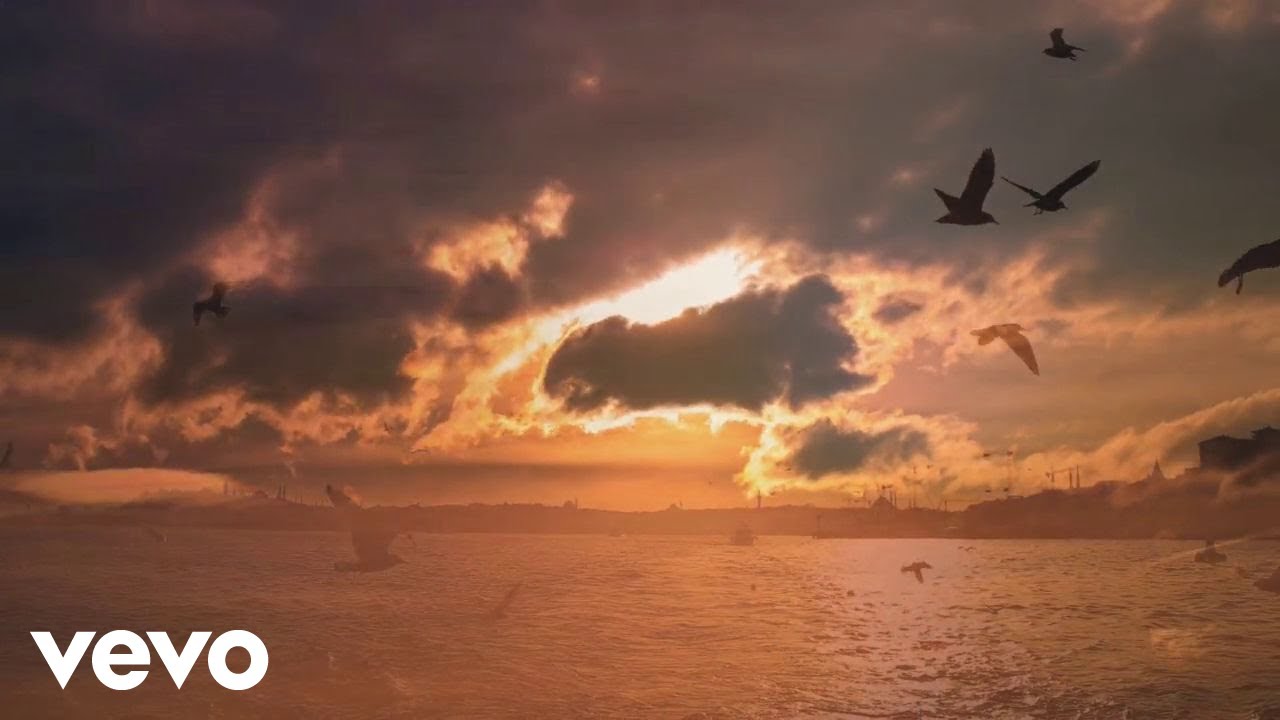 Vice Vukov - Tvoja Zemlja