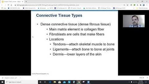 Anatomy Chapter 3: Cells and Tissues