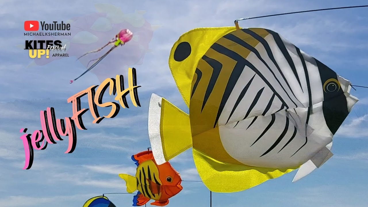 jellyFISH Kite Flying