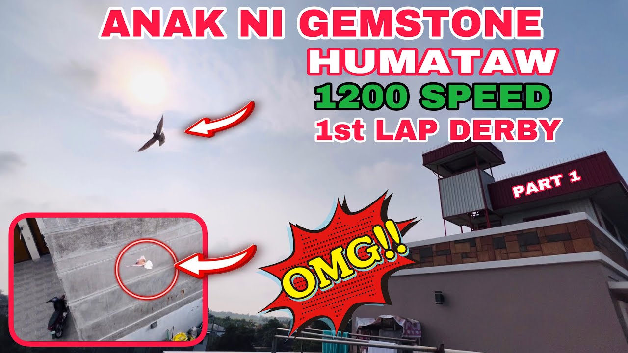 EP425 - 1200 SPEED SOBRANG BILIS ANAK NI GEMSTONE 1st LAP DERBY!