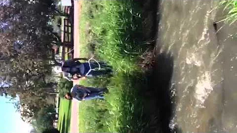 Julia Trout Master