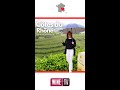 Côtes du Rhône - Episodio 4