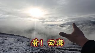 海拔4000米山顶露营半夜下雪，帐篷被压塌，半夜被冻醒了