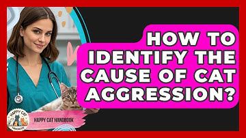 How To Identify The Cause Of Cat Aggression? - Happy Cat Handbook