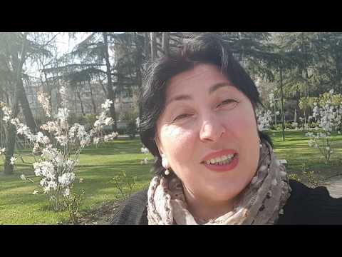 რა არის  სინდისი?