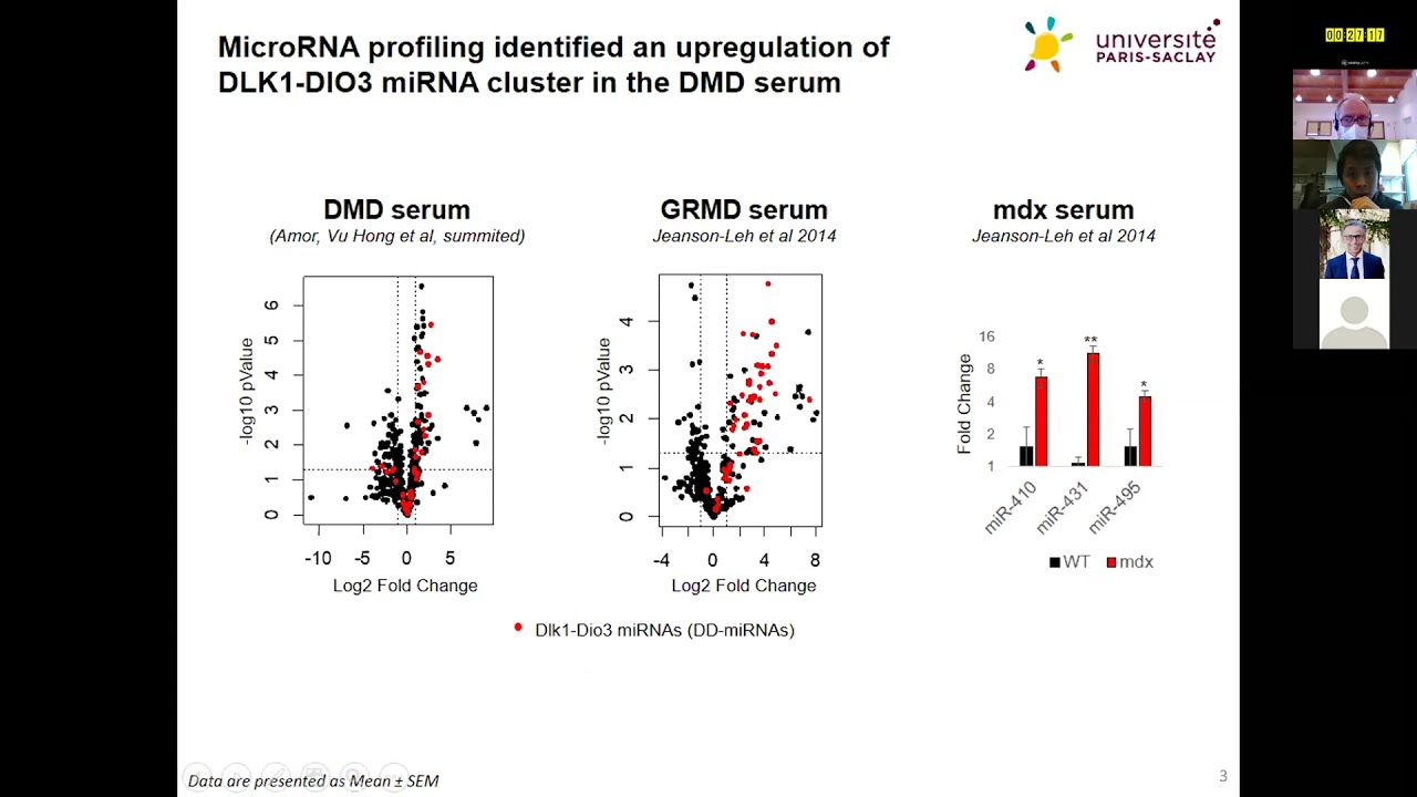 Ai Vu Hong -DLK-DIO3 cluster miRNAs regulate mitochondrial functions in ...