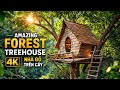 Amazing Forest Treehouse 4K | Nhà Gỗ Trên Cây Tuyệt Đẹp Giữa Rừng