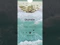 Musika – Dionela | Intense Emotional Rock Version