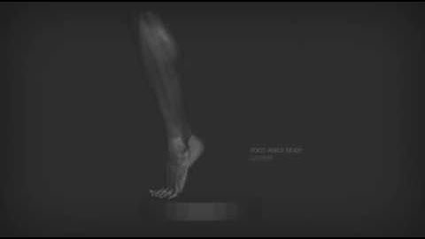 Animating using layers in Zbrush