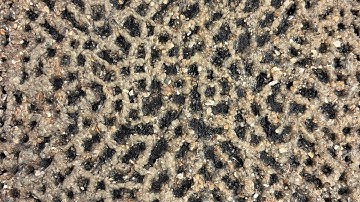 Uncovering: An Interface Between Land & Sea (MSc)