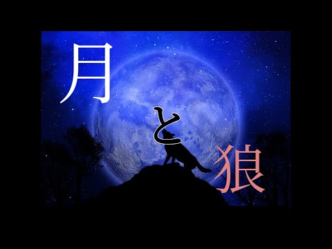 【東方PV】月と狼