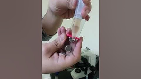 Clemente NanoParticles Separation