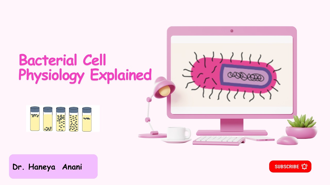 Bacterial cell physiology