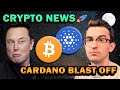 Cardano ADA Surge, Tesla FUD, 46 Million HODLers