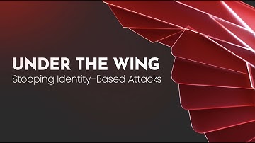 Under the Wing: Stopping Identity-Based Attacks