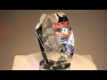 Optic Eye - Glass Sculpture by Jack Storms