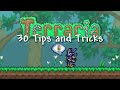 30 Tips and Tricks for Terraria!