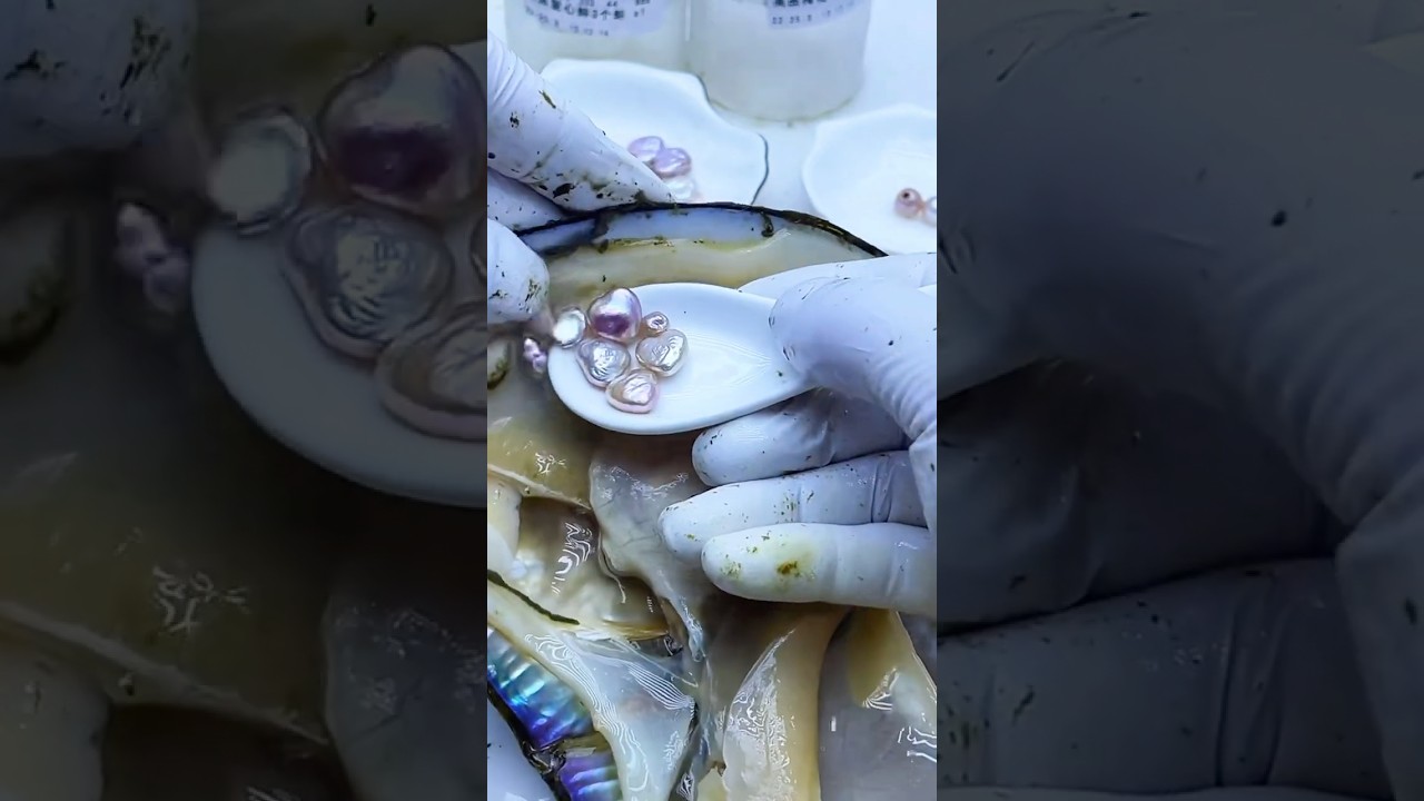 Ultra-Rare Heart-Shaped Freshwater Pearl: Mystic Purple-Gold Luster! 😱💎 