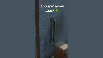 Luckiest spawn loot ever in dayz!?