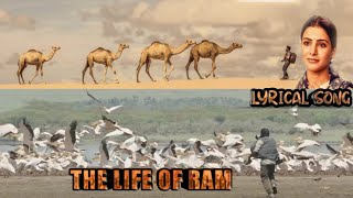 Vignette de la vidéo "LIFE OF RAM SONG LYRICS | JANNU MOVIE | SHARWANAND | SAMANTHA"