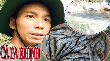 Câu cá pa khính bằng sâu đá và bọ suối | A QUANG TV