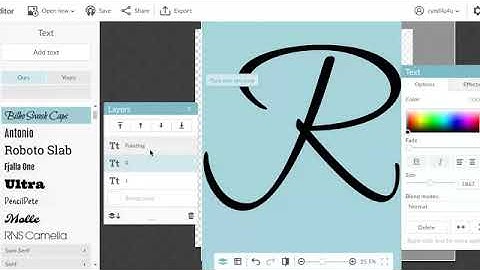 Episode5 Creating Logo With Transparent Background in PicMonkey