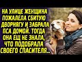 На улице женщина пожалела дворнягу и забрала пса домой. Тогда она не знала, что приютила спасителя…