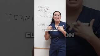 Protein synthesis #biology #biolyl_