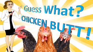 Chicken Butt research - The Nerdy Professor - Funny science research, Funny Science videos, laughter