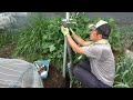 菜園だより230330水栓設置