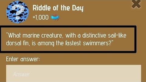 31 January Zoo Riddle of the day code | Riddle of the day code | #zooriddlecode | #khpalwakurmar