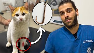 BADLY INJURED CAT! (A Hook Stuck in His Leg!) by Tugay İnanoğlu 125,093 views 3 weeks ago 14 minutes