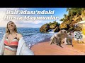 Gözümü BALİ&#39;DE Açtım! Hırsız Maymunlar ve İlginç Pasaport Anım ve İlk günlerim...