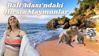 Gözümü Bali̇de Açtım Hırsız Maymunlar Ve İlginç Pasaport Anım Ve İlk Günlerim