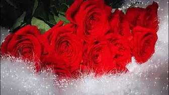 Amigos -- Rote Rosen Amigos -- Rote Rosen
