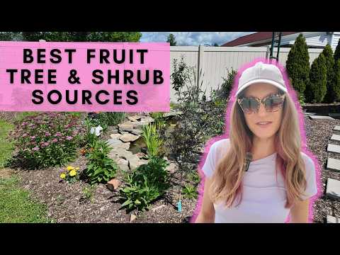 Where I buy fruit trees & berry shrubs for my small edible garden!