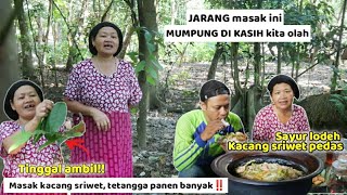 Jarang masak ini tapi, sekali masak bisa ngabisin sayurnya mbah ibuk