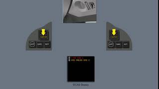 Crew Alerting System -  EICAS (Displays Indications and Messages)