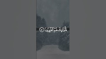سورة النور (٥٢)🤍