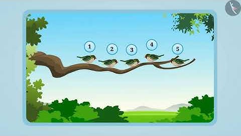 पूर्ण संख्या|Part 1/3|Whole Numbers|Marathi|Class 6