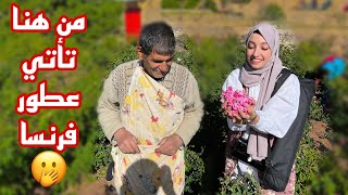 تقطير ماء الورد الذي تغسل به الكعبة الشريفة ?حقائق لا تعرفونها في ايران