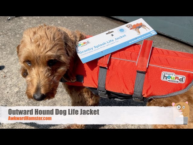 Outward Hound Dog Life Jacket 