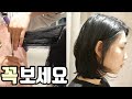 [SUB]단발 레이어드컷 자르는법(단발머리 자르는법,중단발 레이어드컷)