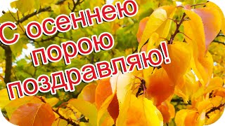 С Осеннею Порою Поздравляю! 🌸Пускай Тебя Порадует Она !🌸 Желаю Больше Позитивных Эмоций!🌸