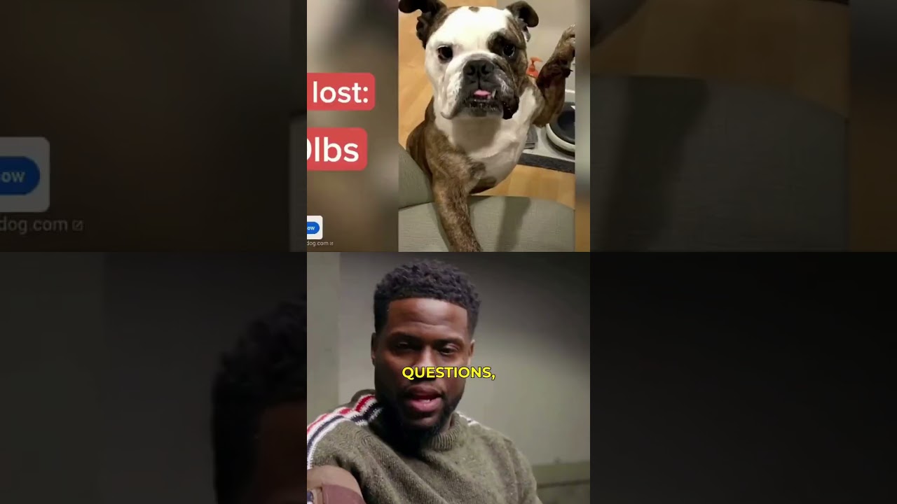 What Happens During a Polygraph? 📈🤥