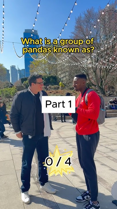 Quiz challenge 🎉 what is a group of pandas called? #trivia #fun #quiz #