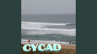 Overboard (Demo Version) - Cycad